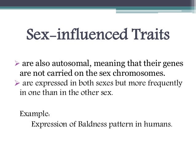 genes for sex influenced traits are carried on Genes for sex influenced traits are carried on
